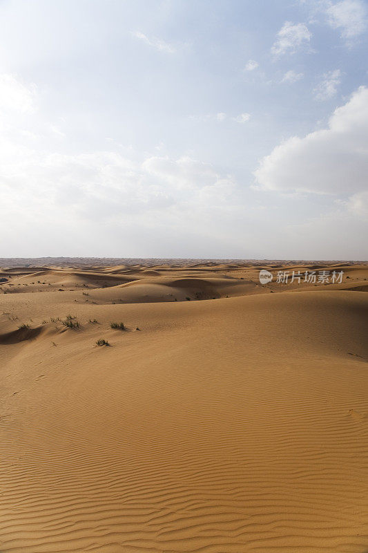 沙漠景观Rub' al-Khali